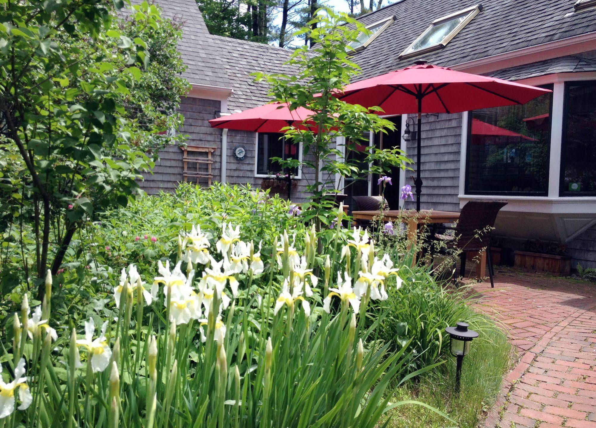 Morning Glory Inn York Harbor المظهر الخارجي الصورة
